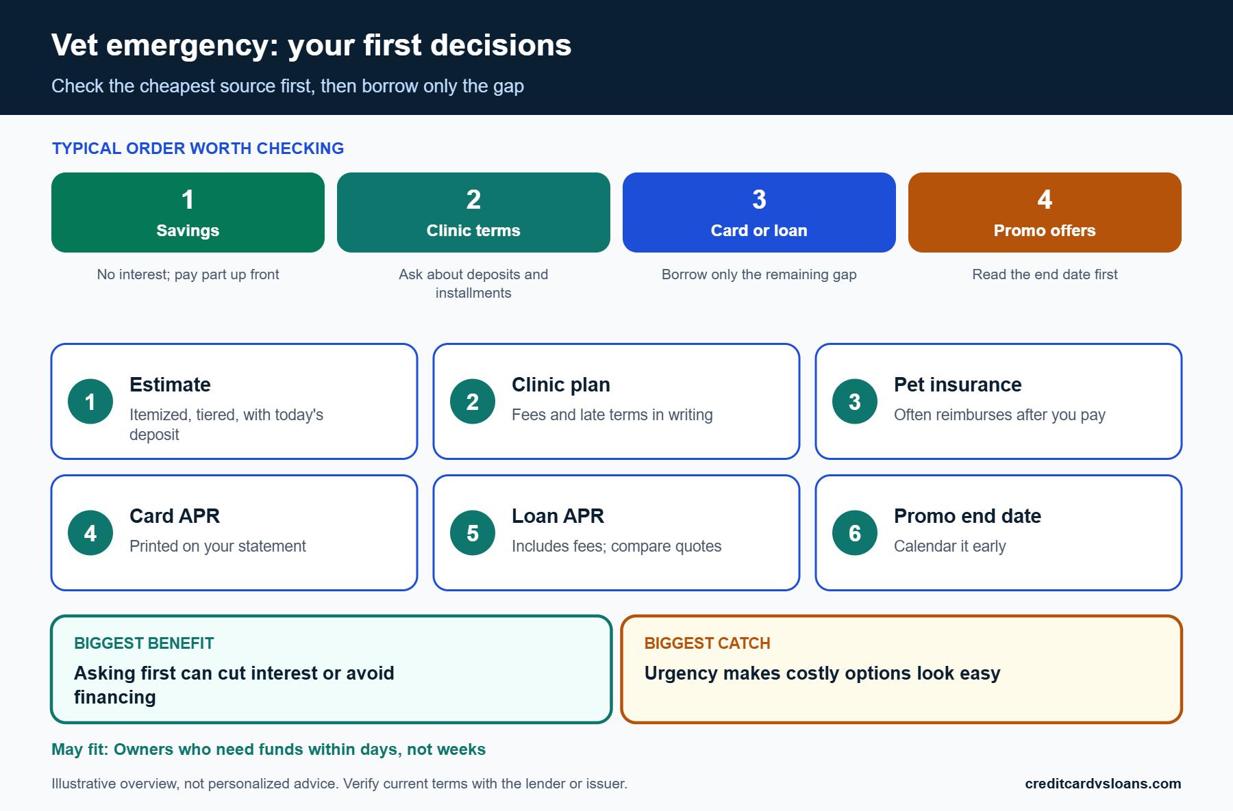 Four-step order for covering a veterinary emergency bill: savings, clinic terms, card or loan, promotional offers