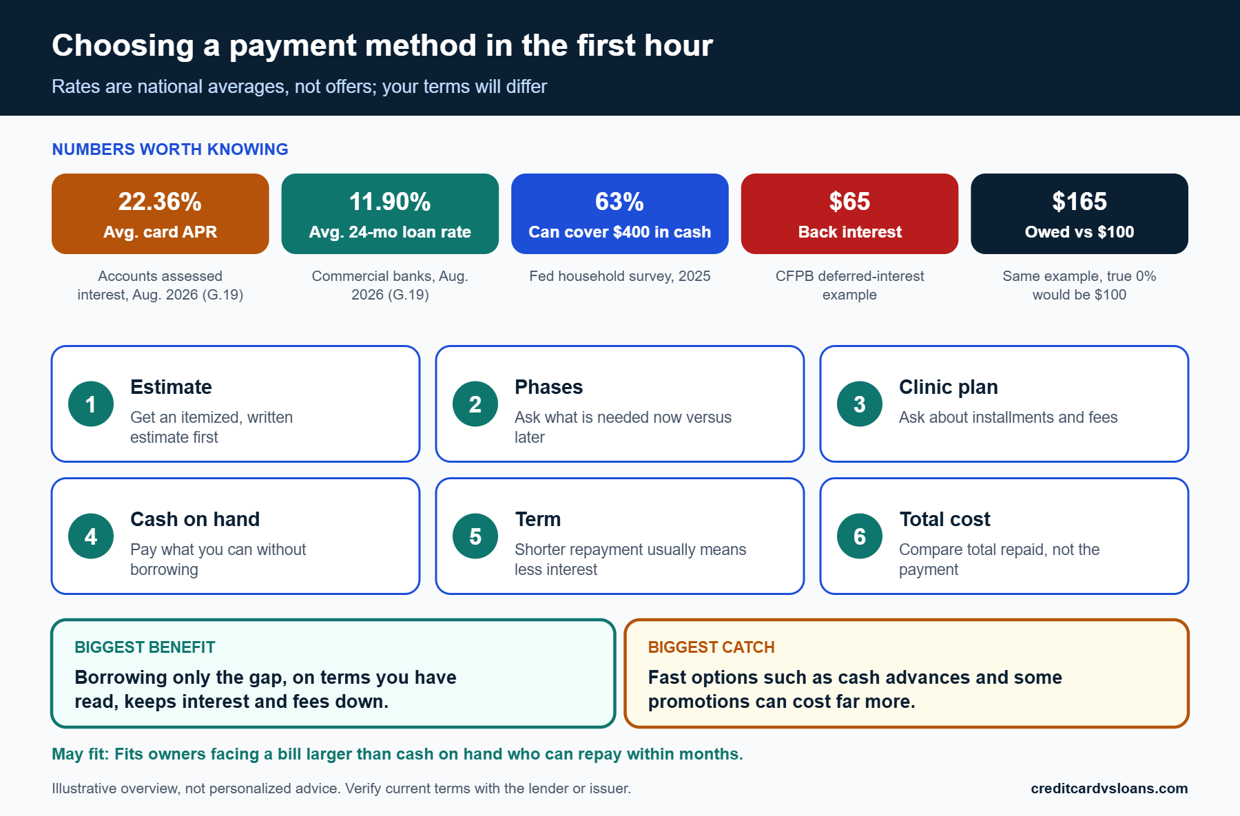 Infographic summarizing average card and loan rates and four questions for choosing how to pay a vet emergency bill